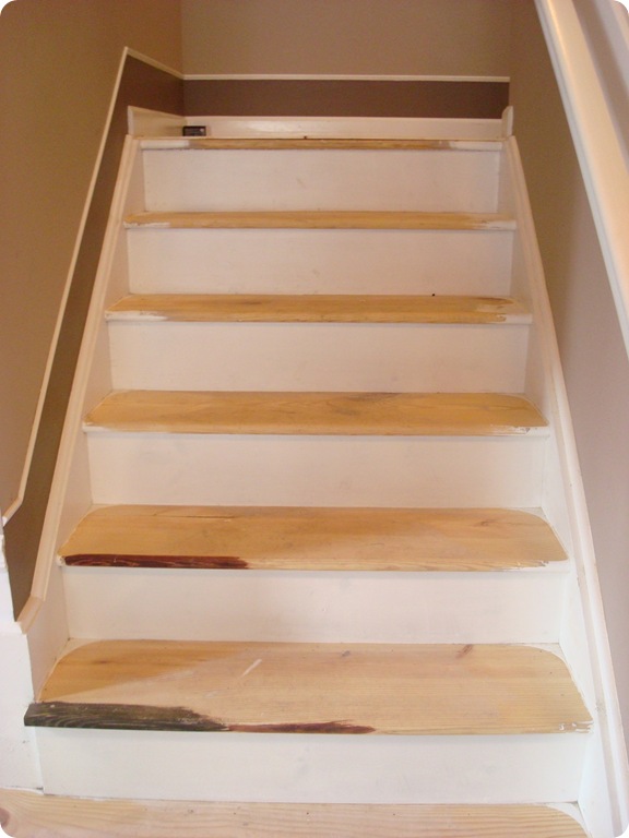 white risers stained treads on stairs